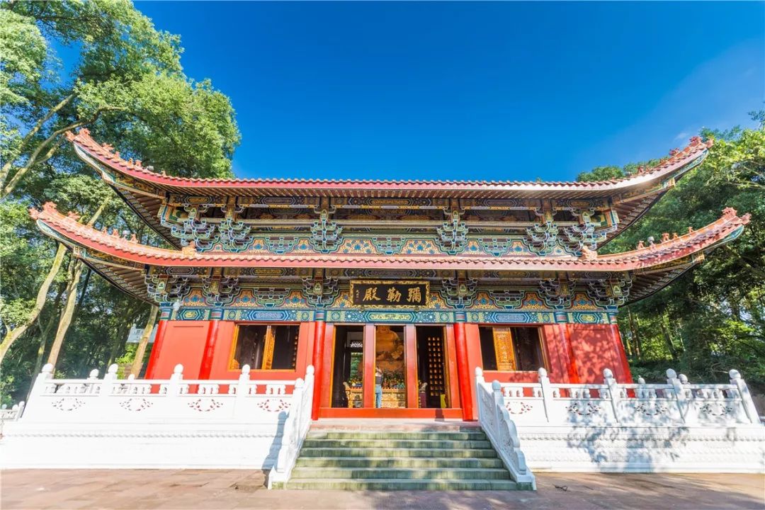 大年初一云游乐山大佛,观光乐山大佛