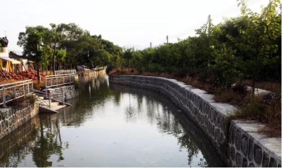 碧桂园助力美丽乡村建设,碧桂园助推乡村振兴奔向美好生活