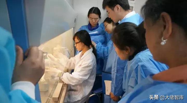 未来十年中国最赚钱的四个行业,未来十年中国最赚钱的16个行业