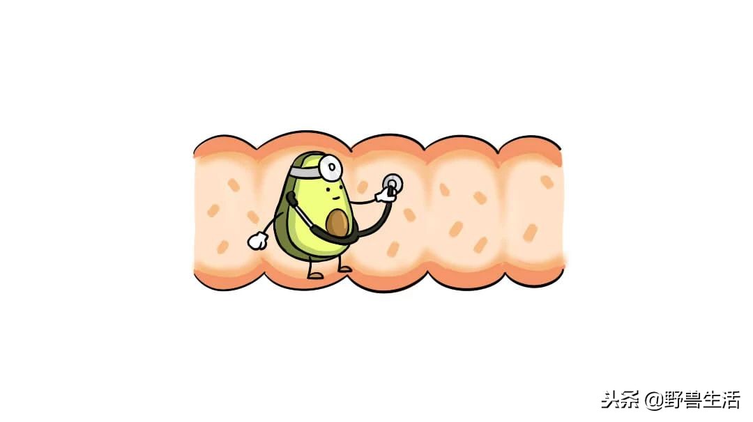 牛油果是真有营养还是虚假宣传,被捧上天却毫无作用的食物