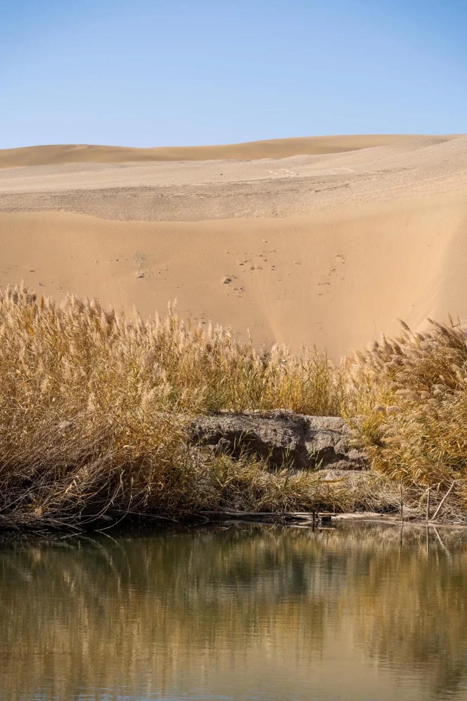 奇骏2021四驱豪华版落地价明细,奇骏4x4四驱2021款价格