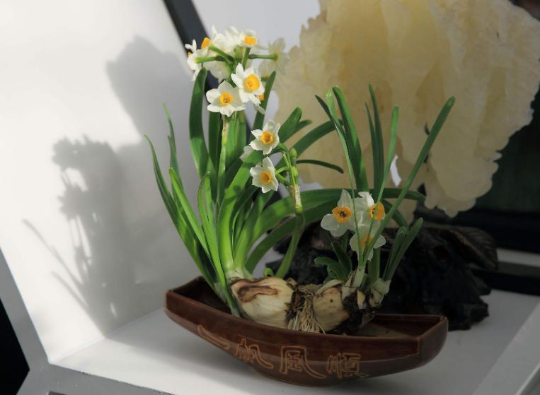 蚊香杀虫剂可以消灭花上的虫卵吗,蚊香灭小苍蝇怎么消灭最彻底