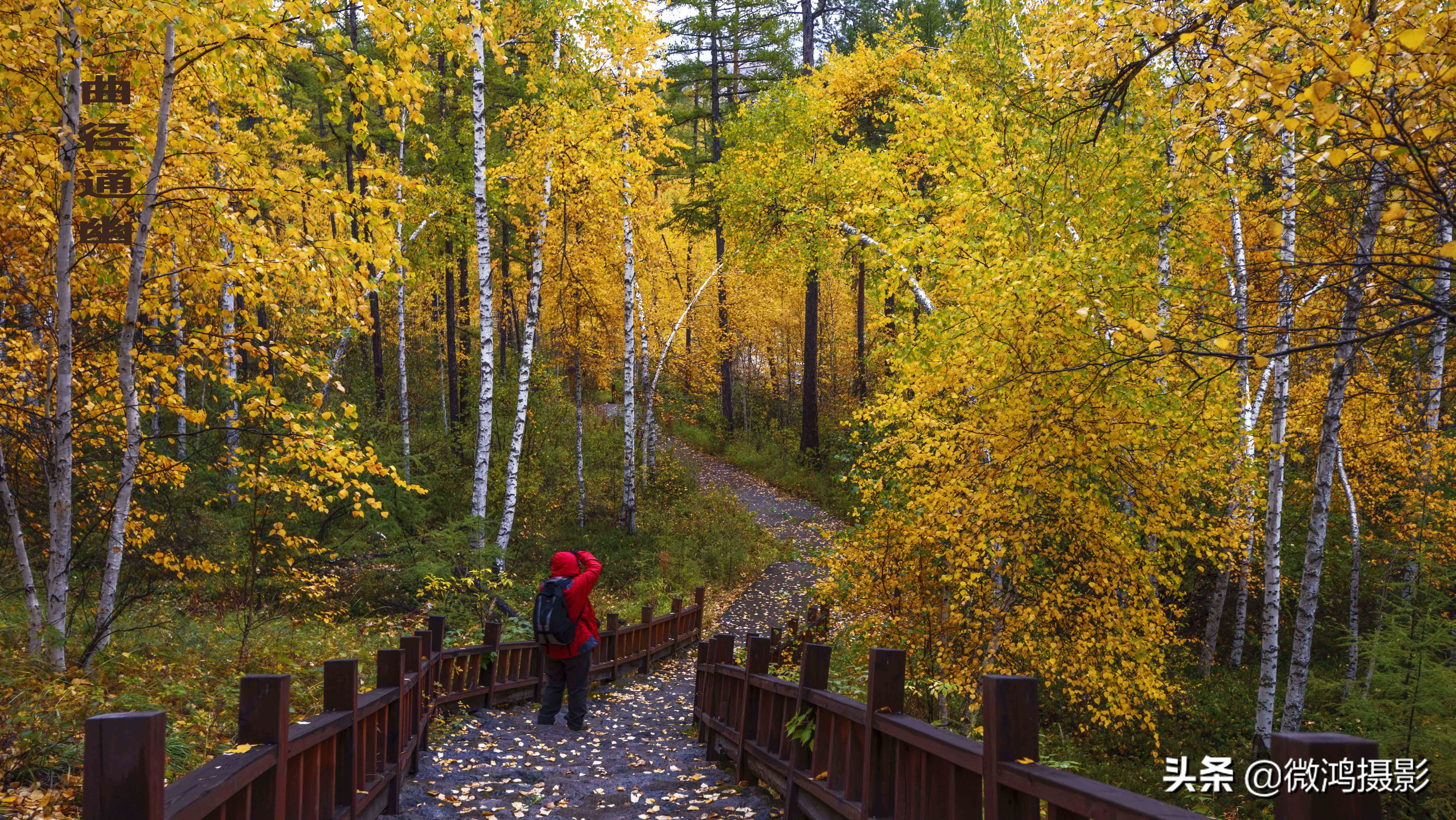 中国最北的石林,苍山石林图片
