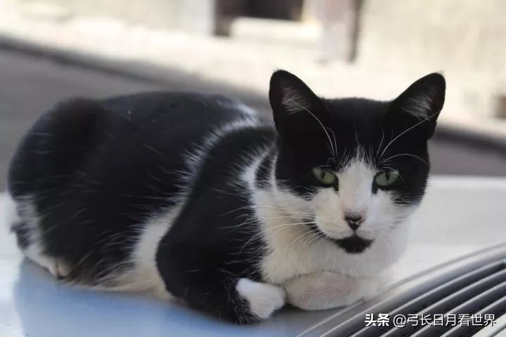 三毛的撒哈拉沙漠免费看,摩洛哥撒哈拉沙漠与三毛