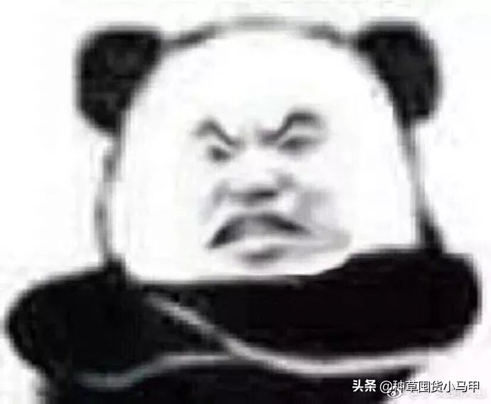 哪些明星是做过微商的,明星代言微商骗局