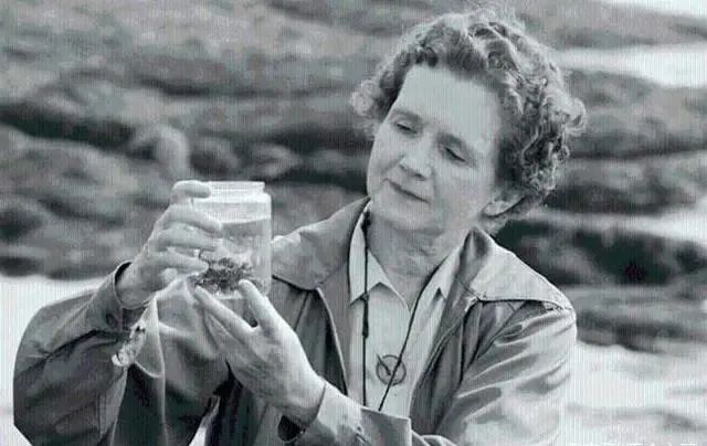 第一本揭示化学与环境关系的著作《寂静的春天》