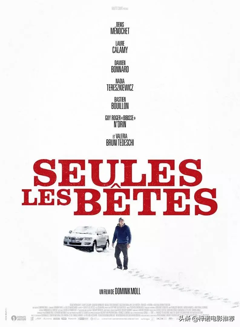 悬疑惊悚爱好者,恐怖悬疑爱好者