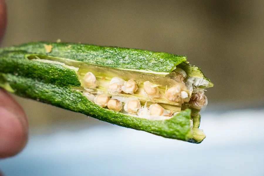 冻干果蔬干排行榜,15种综合果蔬干淘宝