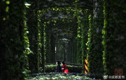 为了绿牌提车的人,为绿码奋斗