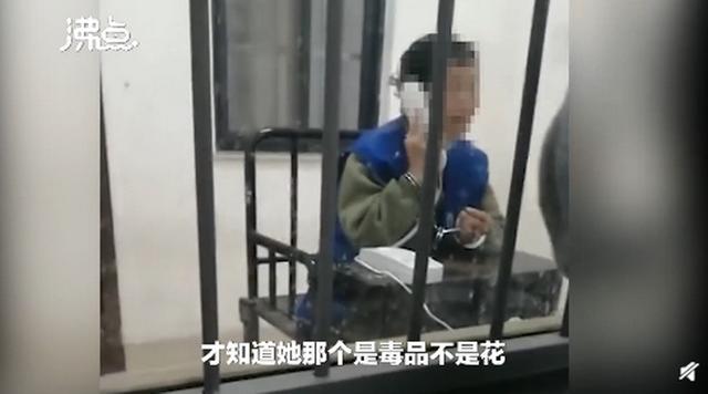 老人误种100株,七旬老人种4千多棵烟被判5年