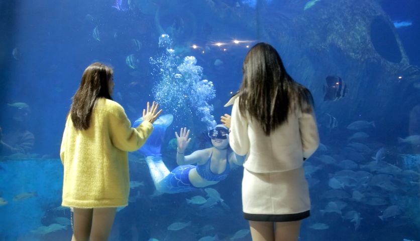 女神节礼物正在配送,江西明月山女神节免票活动开启