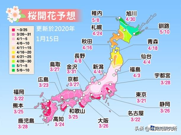 今日起中国赴日本签证暂时失效！当地口罩卖到几百元樱花季凉了