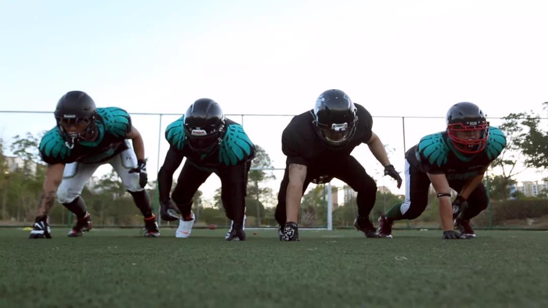 橄榄球队西雅图海鹰队,橄榄球队海鹰队