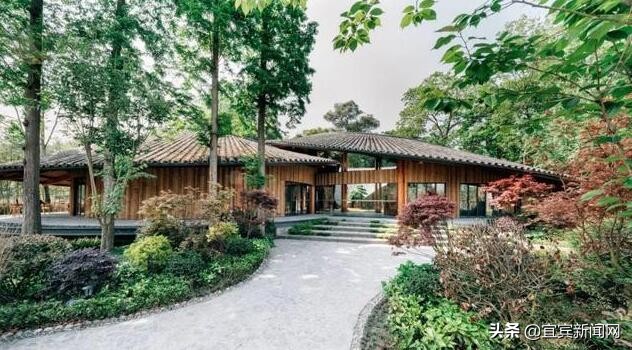 竹文化主题旅游线路,攻略看过来来顺德打卡醉美水杉