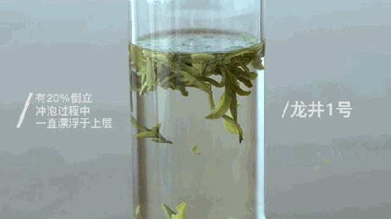 会倒立的才是好绿茶？我们给你做了这个实验