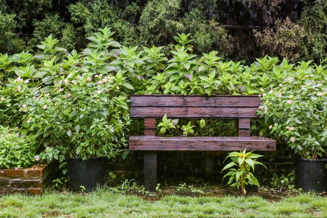 一个安徽爷爷，花1万块种出5000㎡私家花园，被评为中国最美