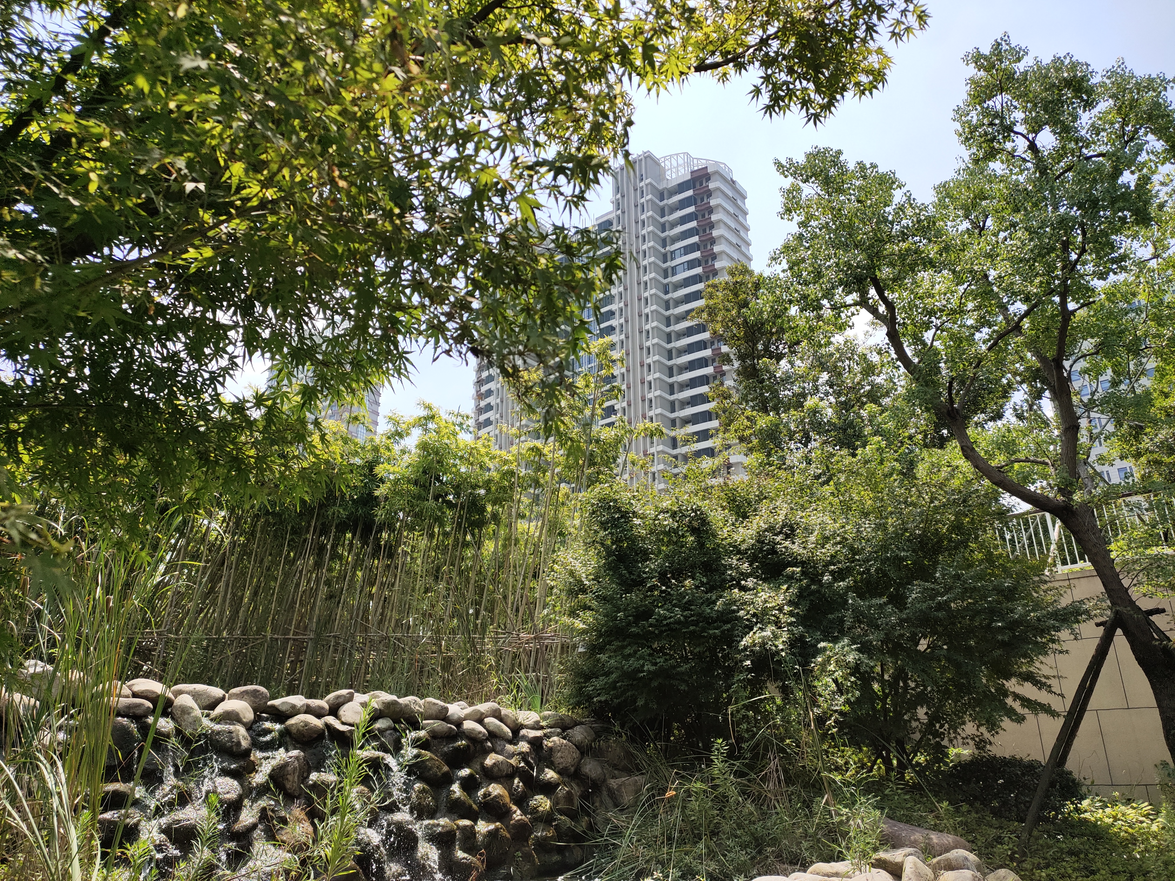 vivoz5手机值得入手吗,vivoz5现在还值得买吗