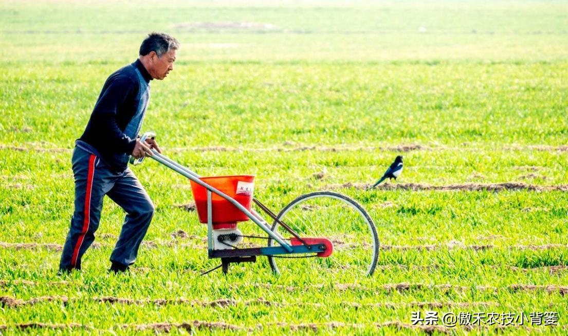 如何区分尿素氯化铵和硫酸铵,如何区分硝酸铵硫酸铵和尿素