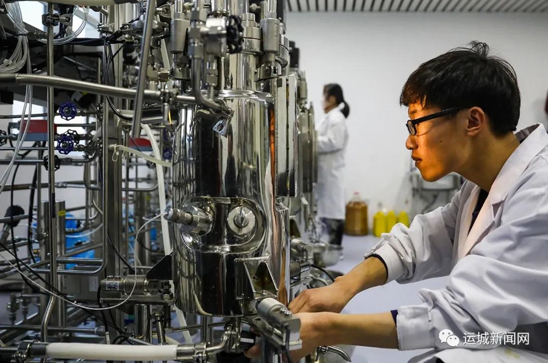 芮城大小事情,芮城现象