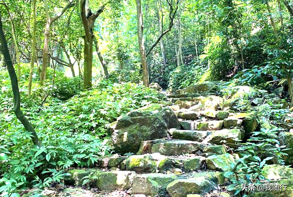 清远牛鱼嘴游玩攻略,清远牛鱼嘴风景区游玩攻略简介