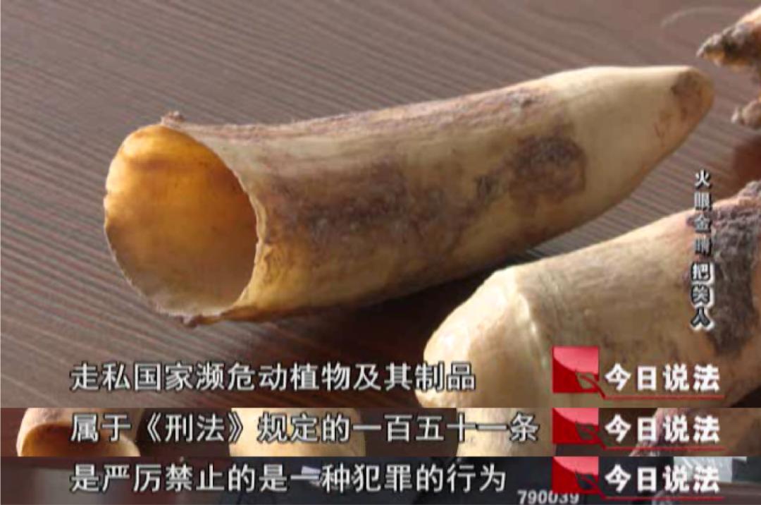 【今日说法】他对妈妈说自己在做海外代购，却不让妈妈知道自己的代购涉嫌犯罪……