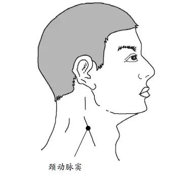 脖子随便按吗,脖子上哪个部位不能乱碰