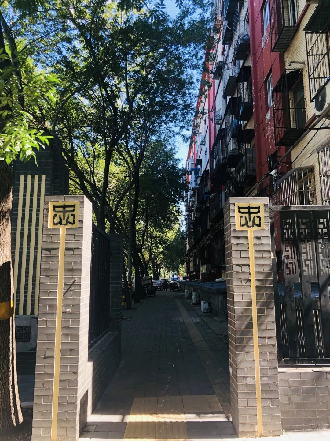 朝阳街巷遇见美好