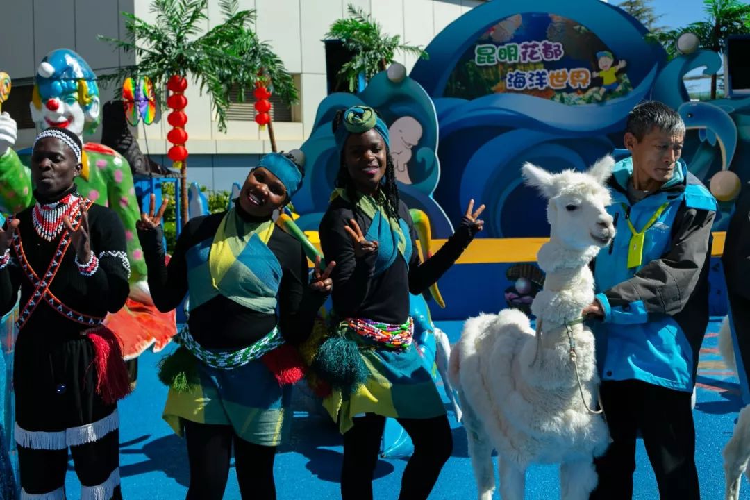 鏄嗘槑钀屽疇鍔ㄧ墿涓婚涔愬洯,鏄嗘槑瀹ゅ唴钀屽疇涔愬洯