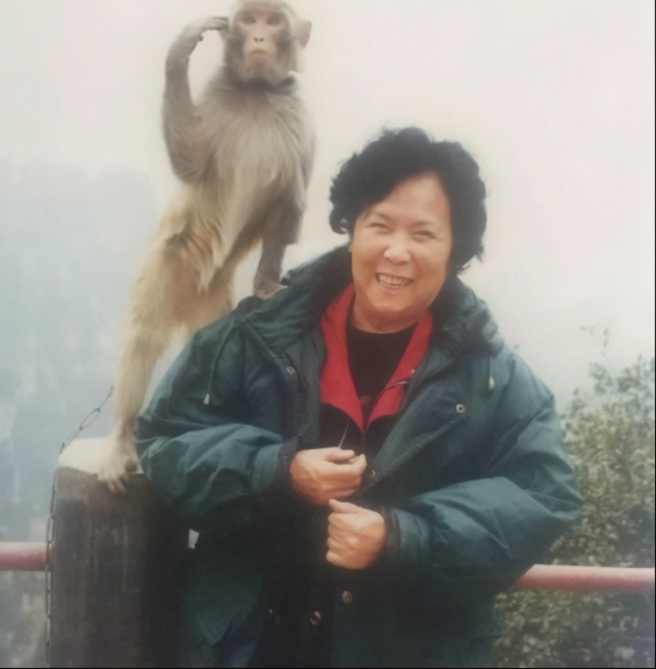 六小龄童真假美猴王电影最新消息,六小龄童再演孙悟空真假美猴王