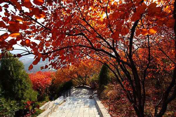 千年古刹红螺寺拍摄,红螺寺千年古刹