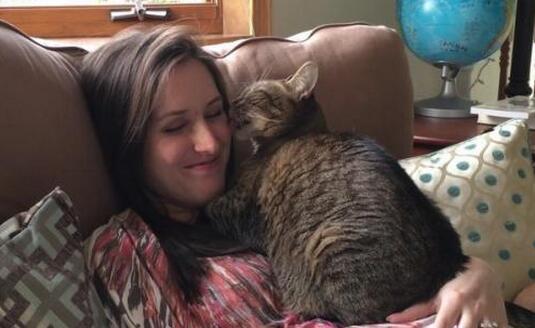 我家的猫咪为什么特别喜欢舔我？这正常吗？