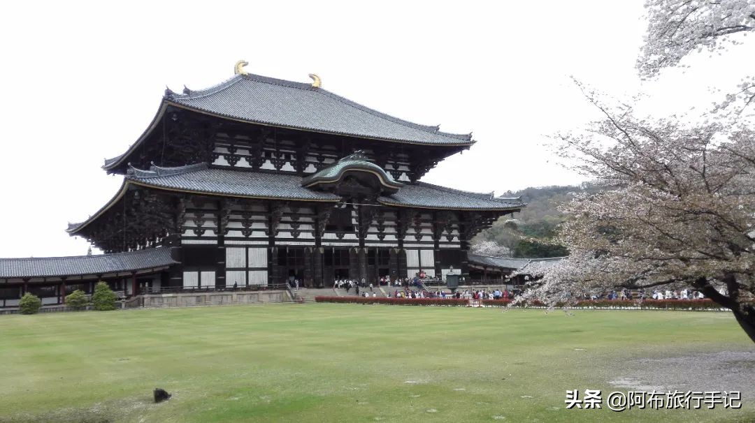 京都和奈良有什么不同,京都和奈良区别