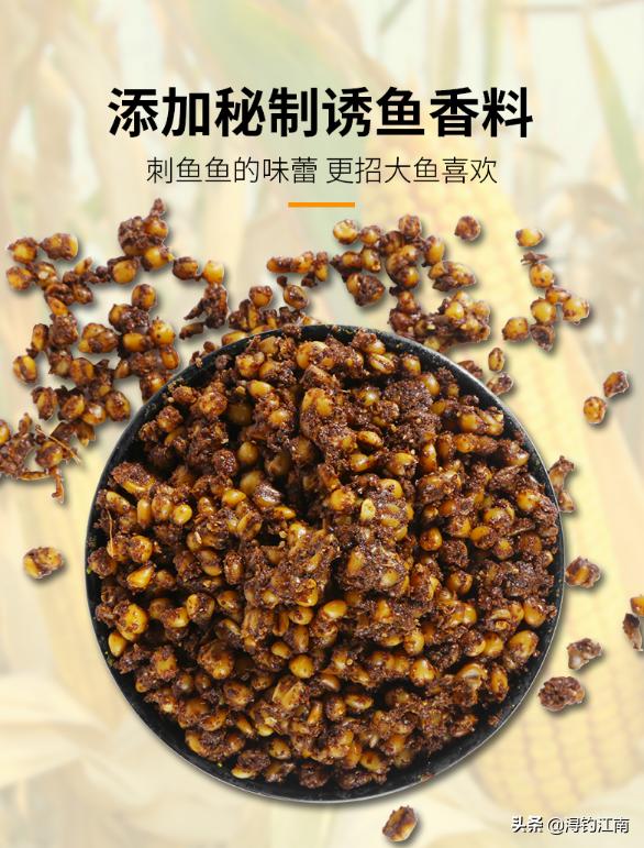 冬季钓大鱼用玉米可以吗,冬季钓大鱼用玉米好吗