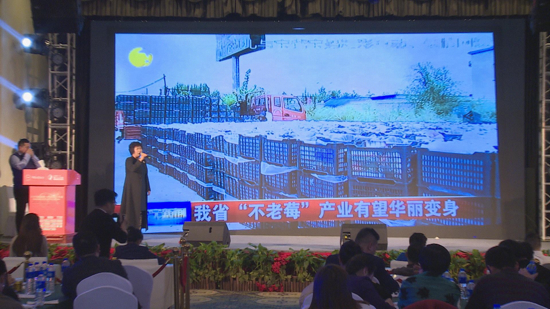 黑果花楸市场前景如何,黑果花楸收购的是鲜品吗