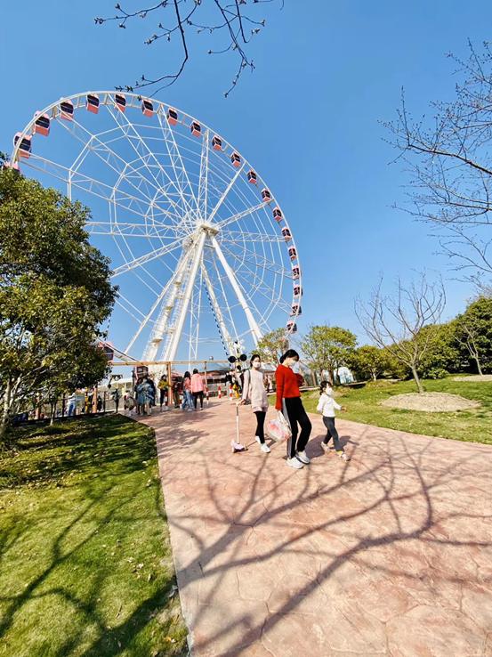 春天必打卡的樱花胜地顾村公园,顾村公园樱花照片视频