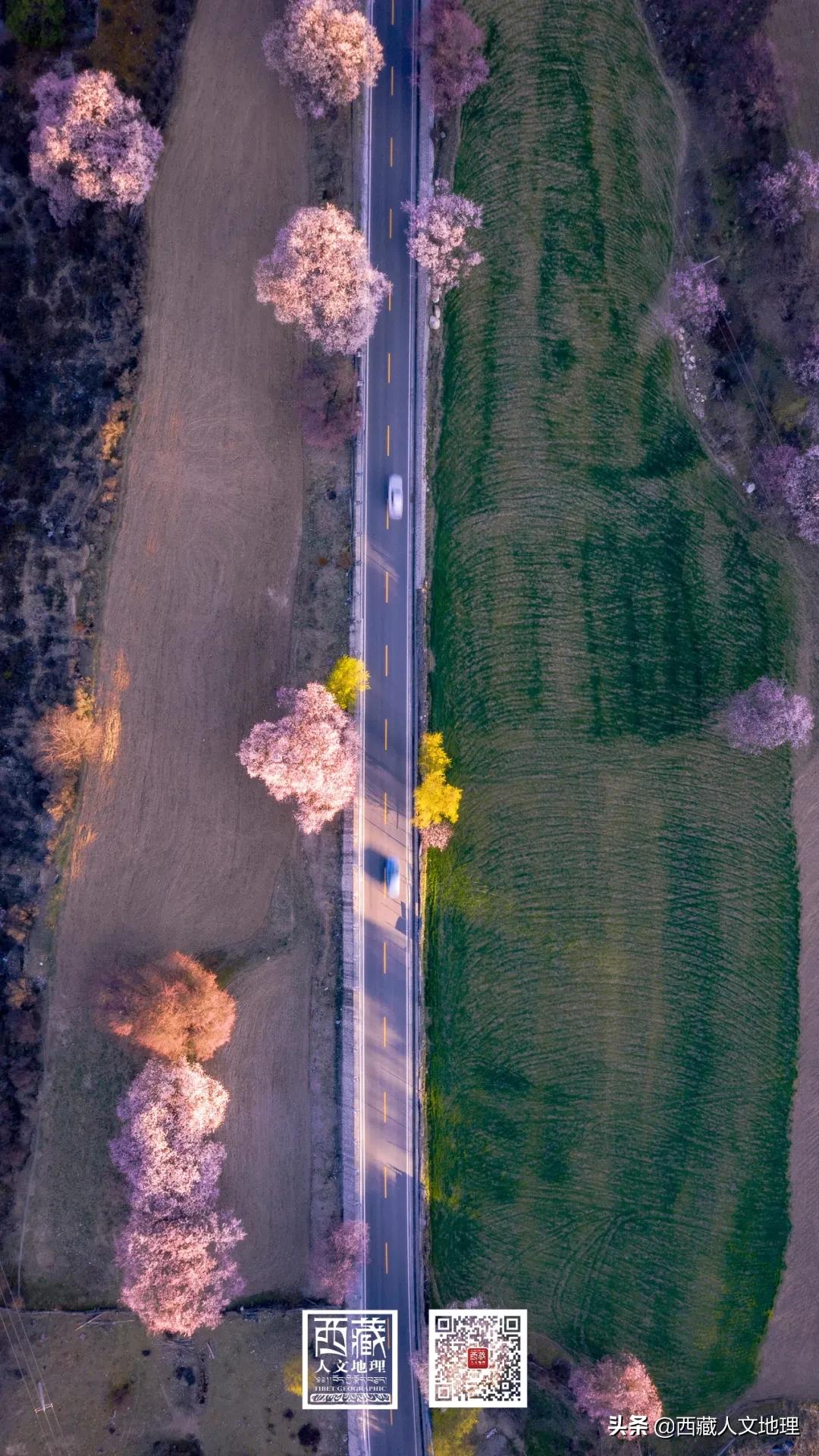 又仙气又美丽的壁纸,适合春日的绝美壁纸