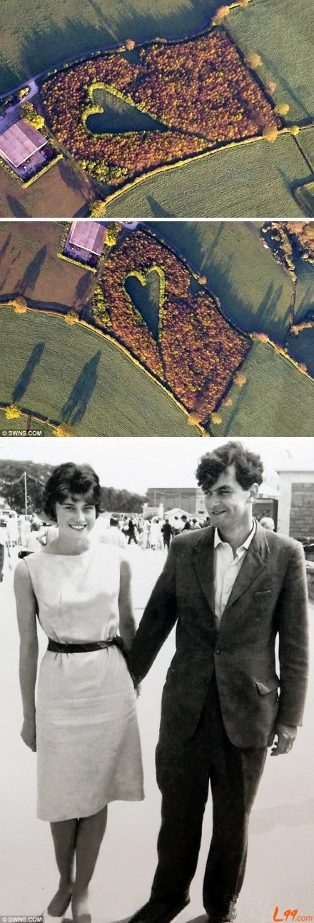 google卫星地图高清,谷歌卫星地图有趣的坐标