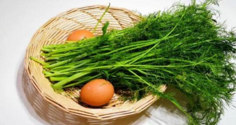 茴香苗包子的搭配,传统茴香苗包子