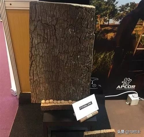 为什么葡萄酒要用软木塞封瓶,葡萄酒为什么要用软木塞