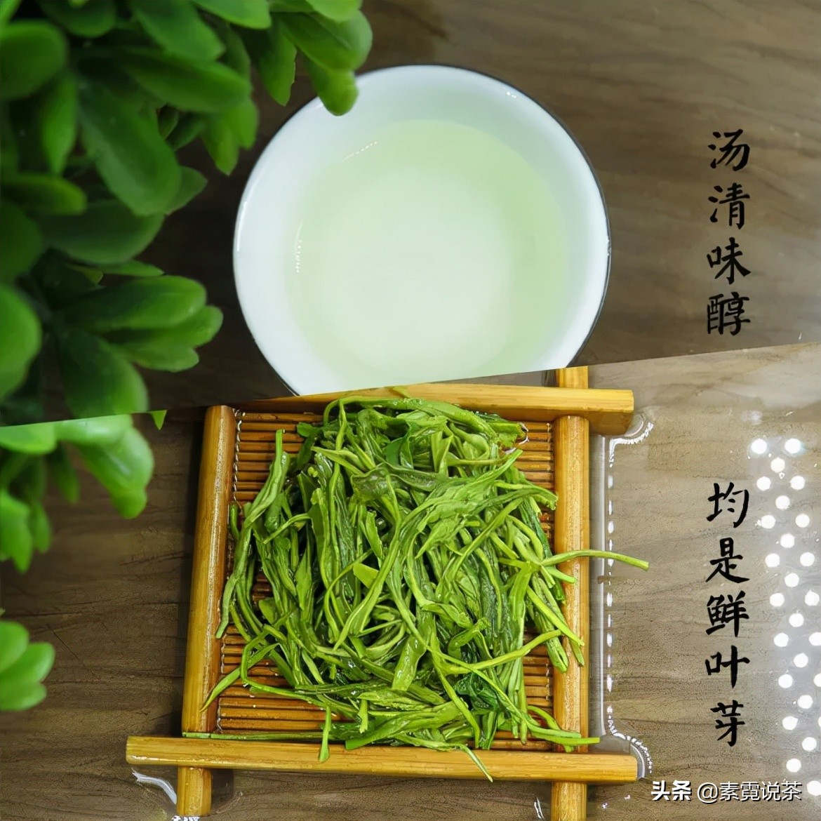 绿茶有什么功效讲解,绿茶功效与作用绿茶有哪些种类