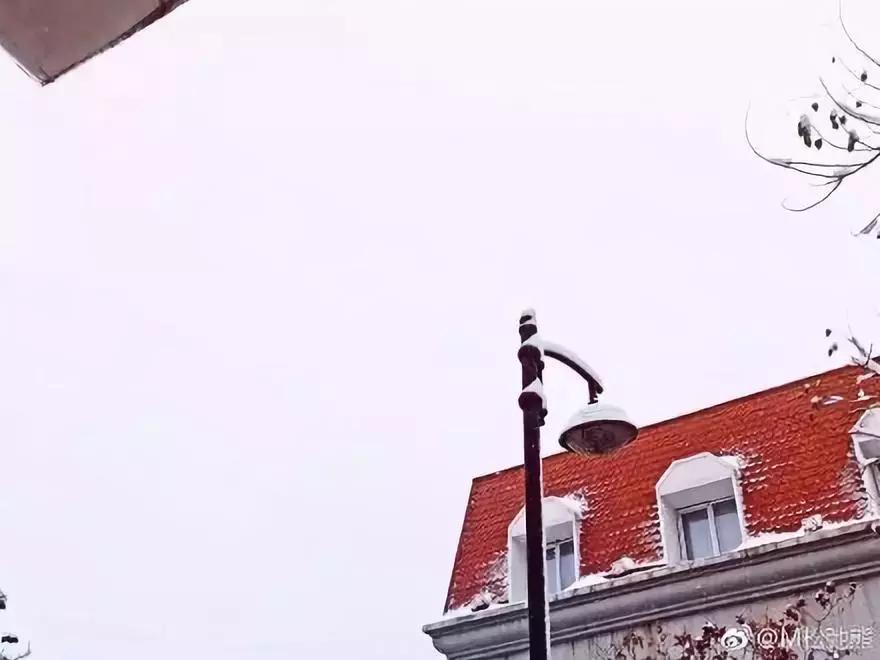 这几天哪个地方有雪天气预报,天气下雪啦