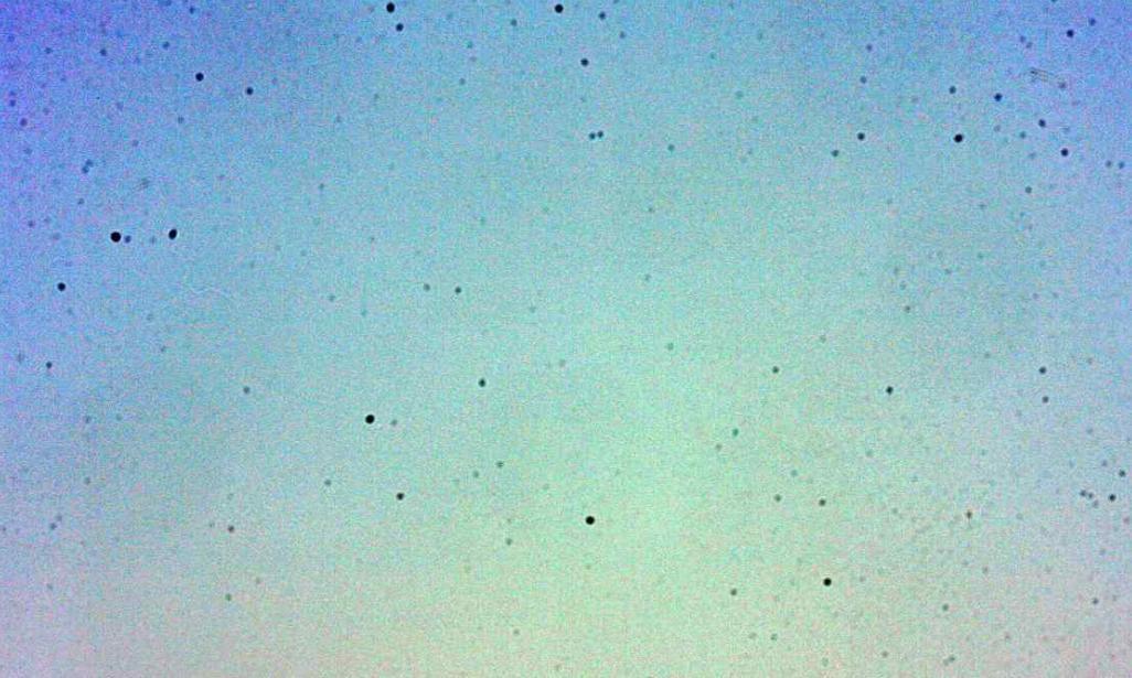 刚拿到相机这13个设置要记好,十大毁掉你的相机设置