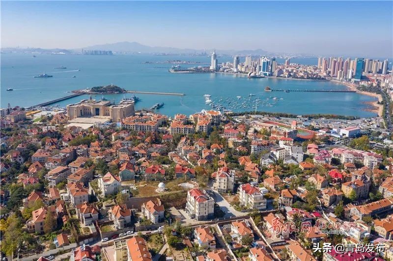 青岛与深圳全方位综合对比,青岛全方位对比成都