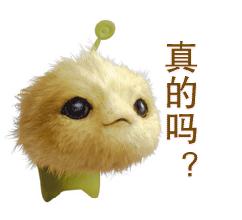 菊花岛探秘,大连海岛游菊花岛