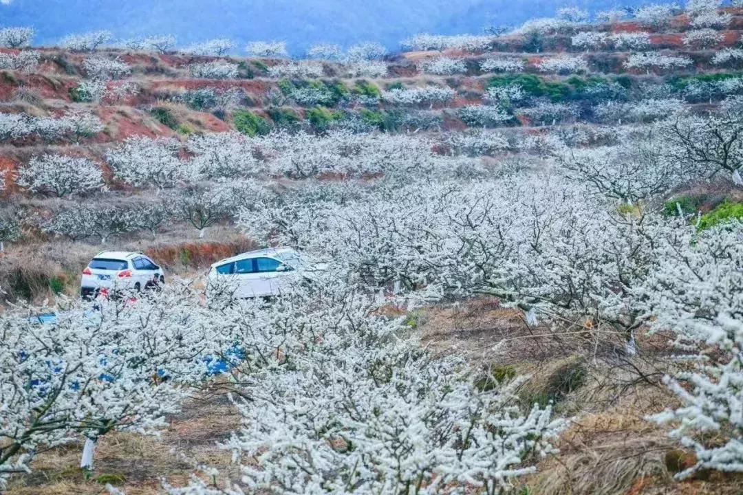 有个地方叫南雄,岭南一隅的南雄