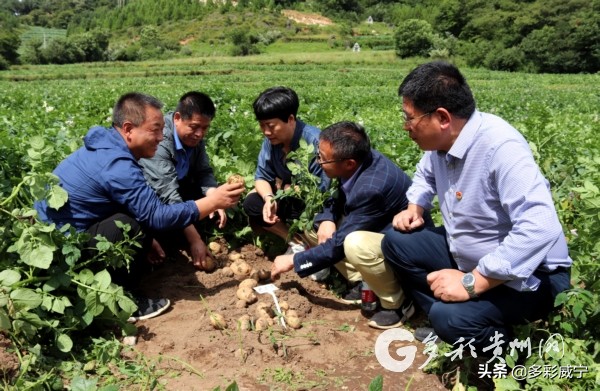 贵州省生物技术研究所,贵州生物技术研究所