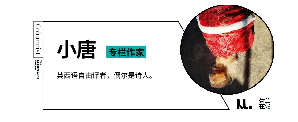 上海花博会讲解,上海花博会有什么