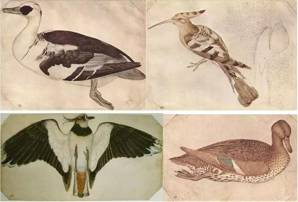 西方的纪念章,西方顶级纪念章