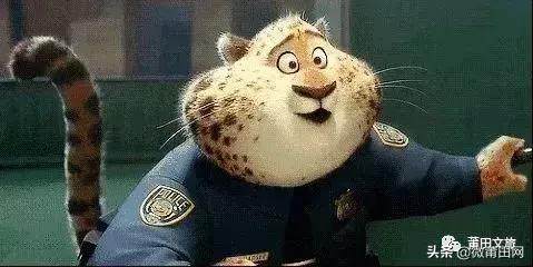 湄洲岛好玩还是九龙谷,去莆田先到九龙谷还是湄洲岛