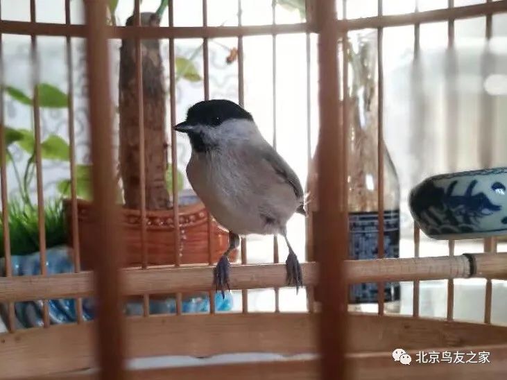 细谈聊天的学问,细聊a股短线卖点问题